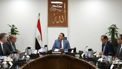 مدبولي يتابع إجراءات توفير الاعتمادات المالية المطلوبة للمواد البترولية اللازمة لتشغيل محطات الكهرباء