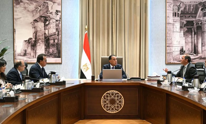 رئيس الوزراء يتابع جهود دعم صناعة الدواء في السوق المصرية ومؤشرات تطورها