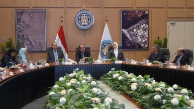 كجوك: توسيع القاعدة الاقتصادية والإنتاجية والتصديرية والضريبية والجمركية من خلال تحفيز القطاع الخاص على النمو