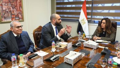 وزيرة التنمية المحلية تبحث مع قيادات وزارة الاتصالات إتاحة تقديم طلبات منظومة المحال العامة على منصة مصر الرقمية