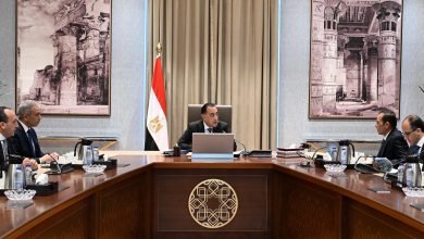 رئيس الوزراء يستعرض الموقف التنفيذي لمشروعات شركة "تنمية الريف المصري الجديد"