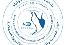 جهاز حماية وتنمية البحيرات والثروة السمكية ينفي وجود أي زيادات في أسعار الأسماك