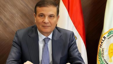 وزير الزراعة يعلن فتح 4 أسواق تصديرية جديدة لـ "البرتقال والعنب وشتلات الفراولة" بالأمريكتين