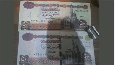 مجلس الوزراء: لا صحة لانتشار عملات فئة الـ ٥٠ جنيهًا "مزيفة"