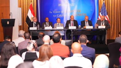 وزير العمل: فلسفة "قانون العمل" تقوم على تشجيع الاستثمار المحلي والأجنبي وتحقيق الأمان الوظيفي للعمال