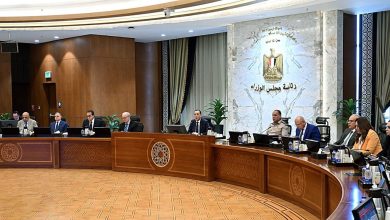 882 مليون دولار استثمارات جديدة وعفو رئاسي مرتقب.. مجلس الوزراء يقر حزمة قرارات استراتيجية