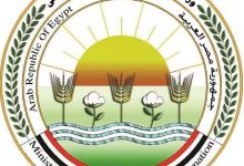 "وزارة الزراعة" تعلن تسجيل 5 أصناف جديدة من الشعير والخضر