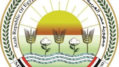 "وزارة الزراعة" تعلن تسجيل 5 أصناف جديدة من الشعير والخضر
