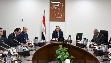 رئيس الوزراء يستعرض الرؤية المقترحة لتطوير زراعة وصناعة الكتان في مصر