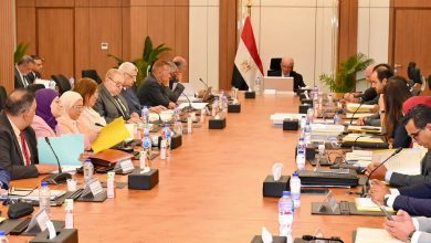نائب رئيس الوزراء للشؤون الاقتصادية يترأس عمومية القابضة للأدوية لاعتماد الموازنة التقديرية للعام المالي 2026-2027