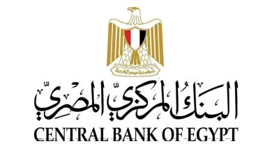 البنك المركزي المصري يطلق البوابة الإلكترونية للجنة الاستقرار المالي الإفريقية بالتعاون مع جمعية البنوك المركزية الإفريقية