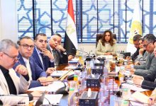 وزيرة التنمية المحلية والبيئة تتابع آخر مستجدات الخطة الاستثمارية للقطاع البيئي للوزارة وجهاز شئون البيئة للعام المالي 2026 /2027