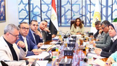 وزيرة التنمية المحلية والبيئة تتابع آخر مستجدات الخطة الاستثمارية للقطاع البيئي للوزارة وجهاز شئون البيئة للعام المالي 2026 /2027