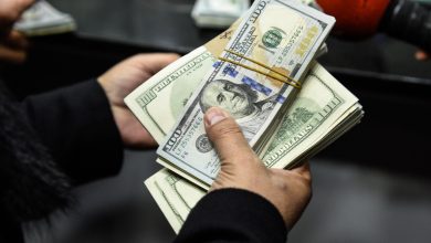 مجلس الوزراء: تحويلات المصريين العاملين بالخارج تسجل مستويات قياسية خلال عام 2025/2026