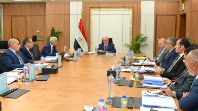 "عمومية القابضة للغزل والنسيج" برئاسة نائب رئيس الوزراء تعتمد الموازنة التقديرية للعام المالي 2026/2027