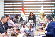 وزيرة التنمية المحلية تتابع مع الممثل المقيم لبرنامج الأمم المتحدة الإنمائي الموقف التنفيذي لمشروع الدعم الفني للوزارة ومشروعات التنمية الاقتصادية بـ4 محافظات بالصعيد