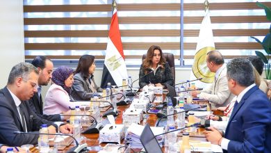 وزيرة التنمية المحلية تتابع مع الممثل المقيم لبرنامج الأمم المتحدة الإنمائي الموقف التنفيذي لمشروع الدعم الفني للوزارة ومشروعات التنمية الاقتصادية بـ4 محافظات بالصعيد