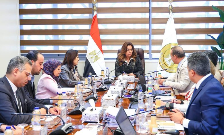 وزيرة التنمية المحلية تتابع مع الممثل المقيم لبرنامج الأمم المتحدة الإنمائي الموقف التنفيذي لمشروع الدعم الفني للوزارة ومشروعات التنمية الاقتصادية بـ4 محافظات بالصعيد