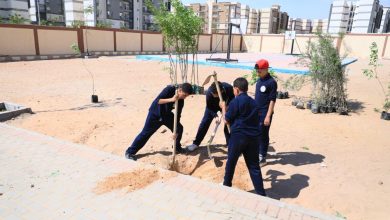 وزارة التنمية المحلية والبيئة تدعم مدرسة الكرنك بمدينة بدر بالقاهرة بـ150 شجرة
