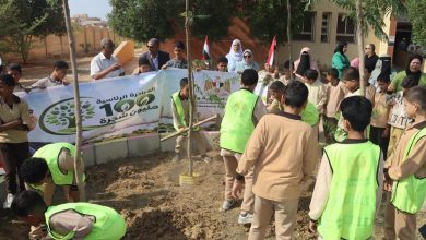 وزيرة التنمية المحلية والبيئة تعلن بدء توريد وزراعة 3620 شجرة بمحافظة بني سويف بالطرق والمحاور الرئيسية والمدارس